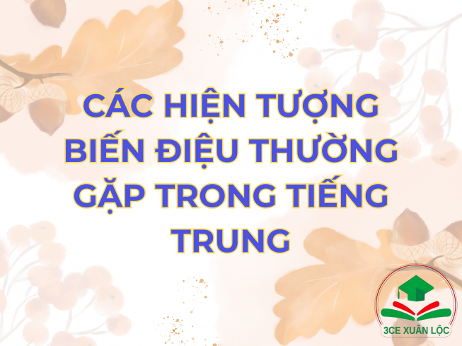 CÁC HIỆN TƯỢNG BIẾN ĐIỆU THƯỜNG GẶP TRONG TIẾNG TRUNG